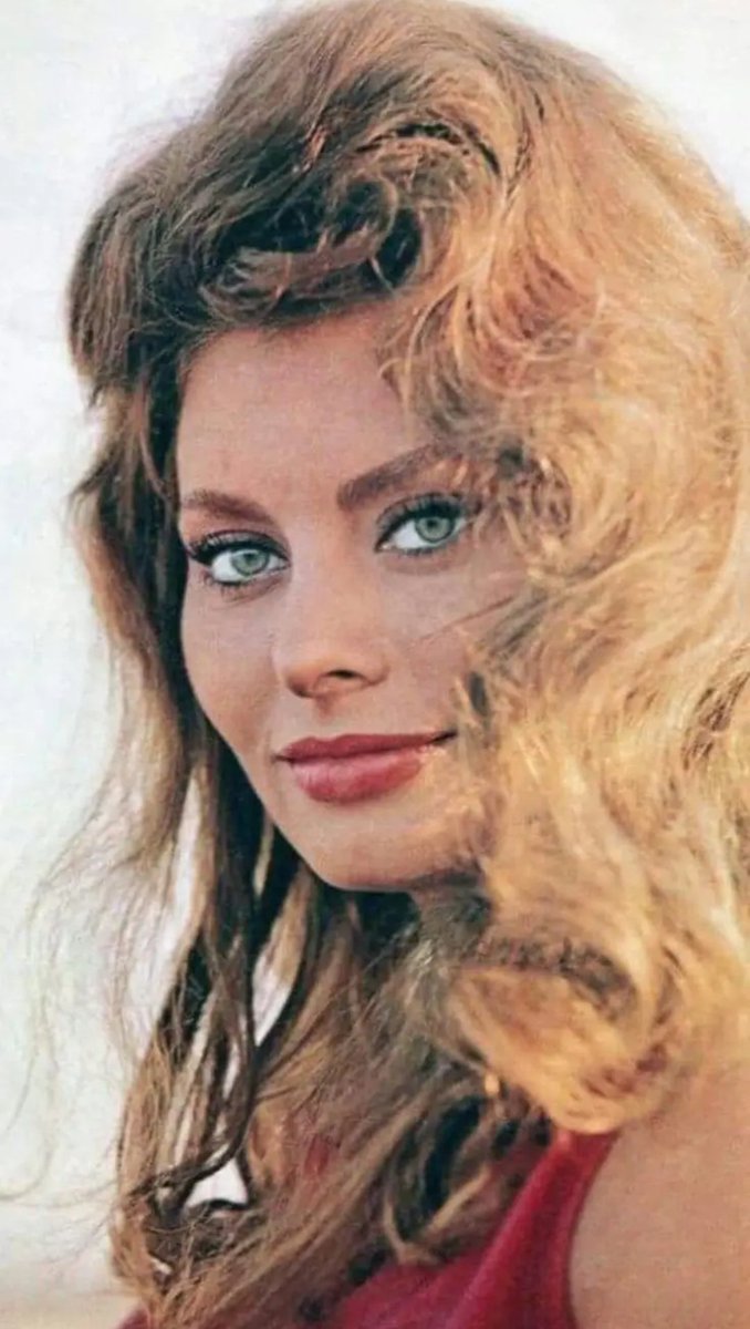 Lilucha_N's tweet photo. Margot Robbie es el casting perfecto para el biopic de Sofía Loren https://t.co/SI54pbICxu
