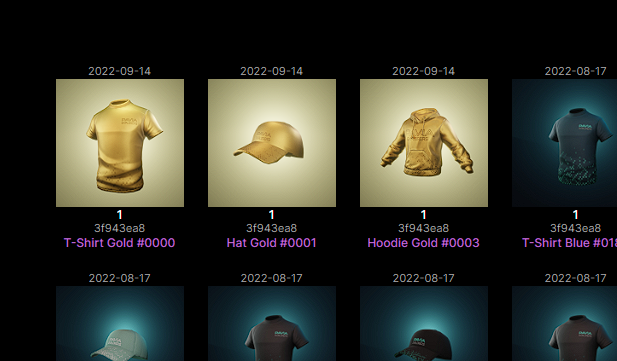 indi_trader's tweet photo. Wow wow wow .. Thank you thank you @Pavia_io @PaviaComms . See what landed in my wallet today. Gold merch and Pav jones. Cant wait to show off these @readyplayerme compatible merch in metaverses. Proud to be a #PaviaExplorers and am ready to explore more flaunting these โค๏ธโค๏ธโค๏ธ https://t.co/VmxP51GQJc