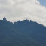 ツイートに含まれる画像