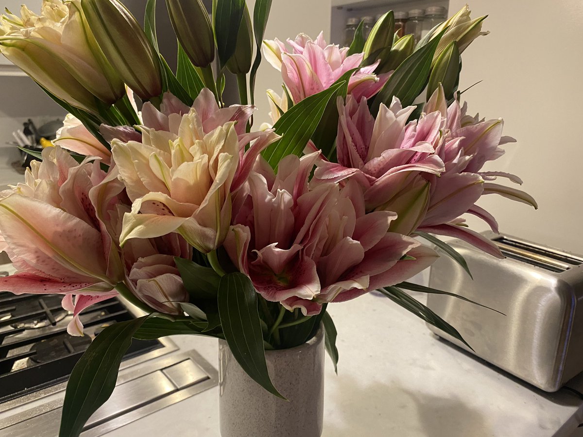 Jaana Dogan ヤナ ドガン tweet media