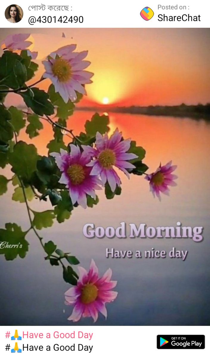 ms_sayam's tweet photo. #🙏Have a Good Day
https://t.co/Y2vlc4RunM

ShareChat - বাংলার নং ১ অ্যাপ!এক্ষুনি ডাউনলোড করুন। 👇👇👇 
 👉 https://t.co/XQnFIzzDQr https://t.co/cuxzeNbqZO