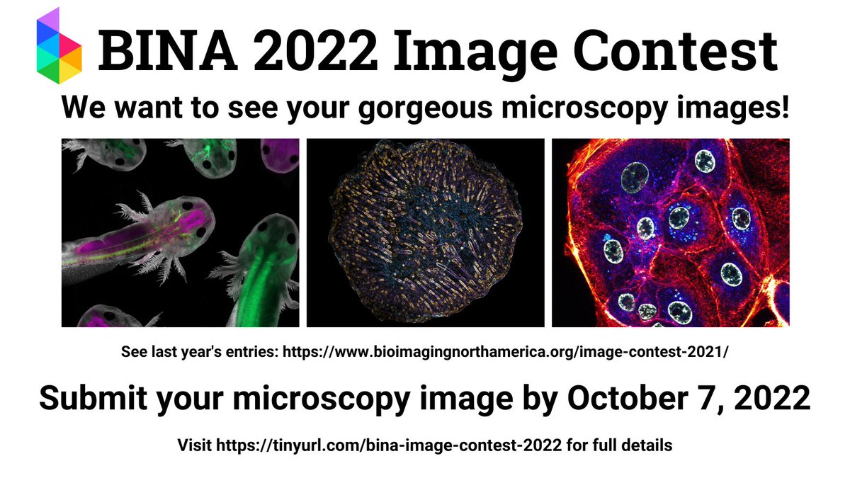 BioimagingNA's tweet photo. 📢The BINA Image Contest for 2022 is now Open!
📅Enter by October 7
We can’t wait to see your images! 🔬👀🔬
https://t.co/5IomTRzxa9
#LightMicroscopy #FluorescenceFriday #SciArt #SciArtSeptember #BINAImageContest https://t.co/4gAKv66cpD