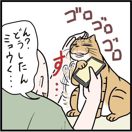 急に来るからビビる
 #ニャンコ #まんが #猫 #猫あるある #猫漫画 #ペット #飼い主 #エッセイ漫画 #キャット #猫のいる暮らし #4コマ 