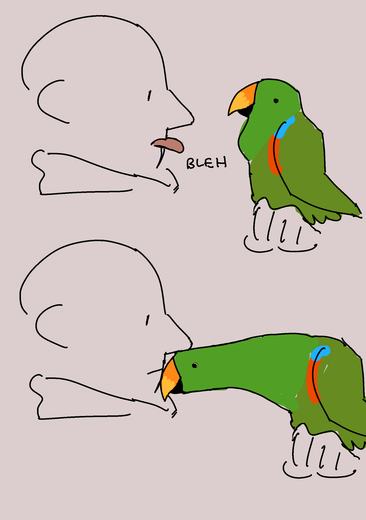 Filibusterfrog on Twitter "what is that. open your mouth i need to