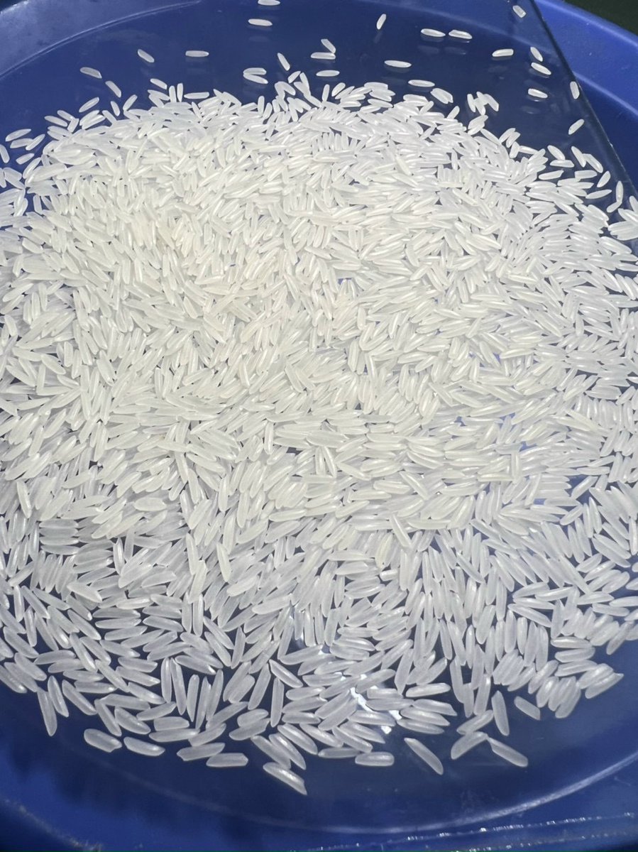 maicaohongtrang's tweet photo. ST25 RICE - ST24 RICE - ST21 RICE 5% BROKEN
Available for export.
Tracy Cao (Ms.)
P: +84 969 800 854
E: tracy@vilaconic.vn
#egypt #australia #france #singapore #canada #hongkong
#uae #germarny #isarel #tracycaovn #manufacturer #tracycaovn #rice #riz #supplierrice #b2business https://t.co/f0mWquH1mQ