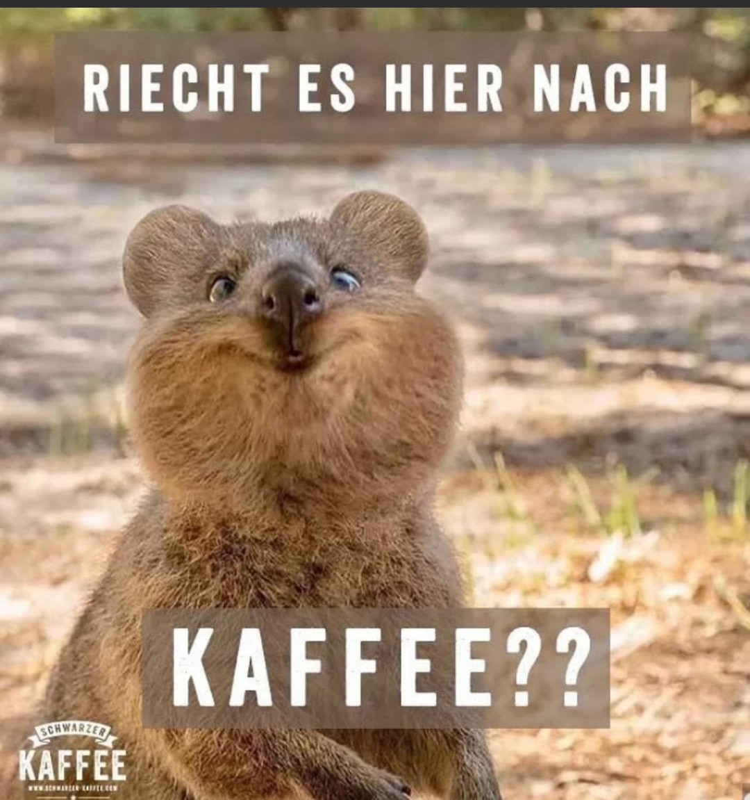 Jens Kubon tweet media