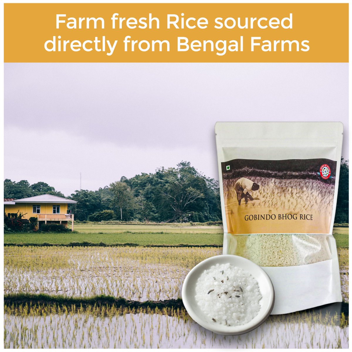 Homeofspices1's tweet photo. Gobindobhog Rice known for its great aroma &amp; taste! India has over 2000 variant/names of rice grown, Gobindobhog rice's aroma is matchless!! Easily digestible, a short grained sticky rice. #gobindobhog #Rice #foodies #Cooking #aromaticfood #eatingout https://t.co/cAv1OpbOhh https://t.co/4EYXqZHNDo