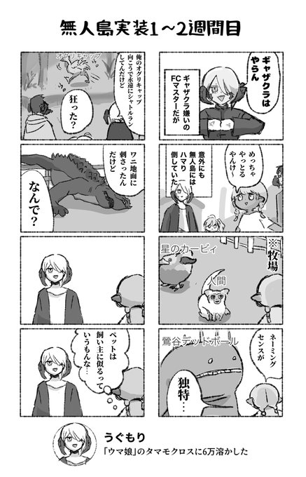 無人島で印象深かった出来事② 