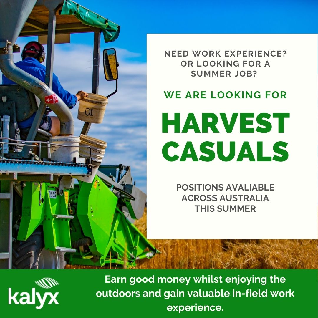 James Rollason tweet media