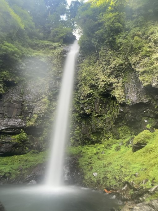 ROBOT_MoMoCo's tweet photo. 🍑Good MoMoning!Ishikawa, JAPAN ☀️
I hope this morning's photo of the waterfall cooled you off 🎵Well, this weekend is a consecutive holiday! Do you have any plans to go somewhere?MoMoCo is thinking about making Udon 😅Have a nice day everyone!#robott #motor #cylinder #Tesla https://t.co/03qrVOYU48