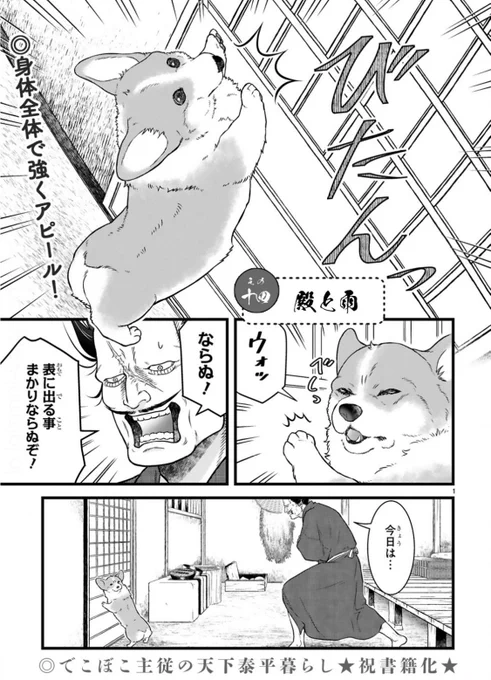 ✨最新話更新&単行本発売✨  コワモテな殿とゴキゲンコーギー 天下泰平主従暮らし🐶  『殿と犬』 comic-polaris.jp/tonotoinu/  しとしと雨の日の犬は… 外に出たーーーーい🐶❗️  ⏩アンケートへの一言やTwitterつぶやき(#殿と犬 をつけてね)も大歓迎です  