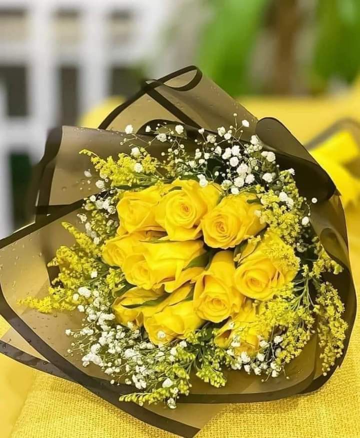 .

زادگــــم اللـه نـــوراً فــي
القلـــب، وضيـــاء فـي الوجـه
وسعــة فـي الـرزق، ومحبـة
فــي قلـــوب الخلـــق.. 🌻

اسسعد الله صبااحـگم.. 💛
"