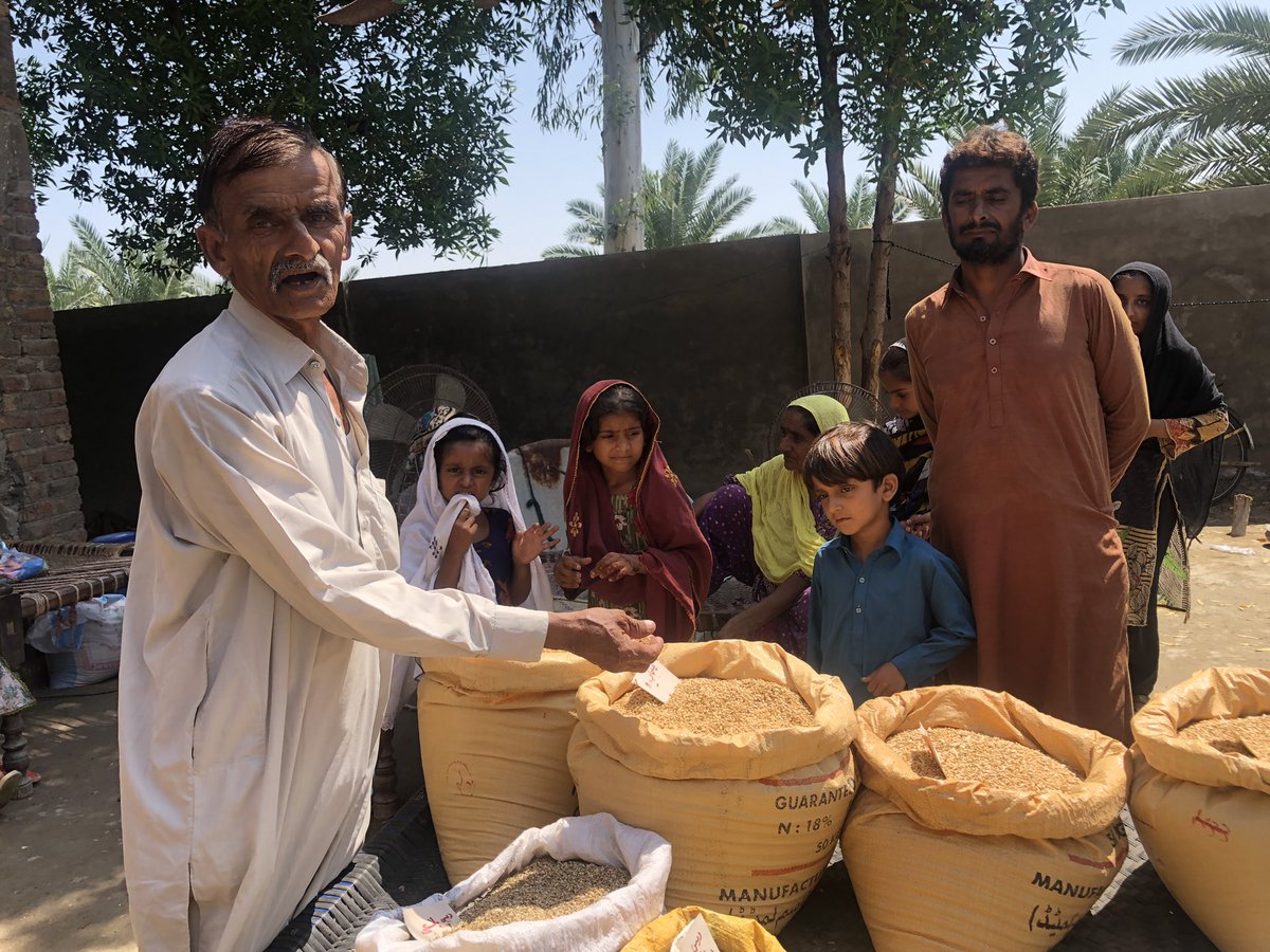 PKMT member in Khairpur says inspite of loosing his home &amp; buffalo, he still managed to save his seeds - we salute our small farmers determination to fight for #FoodSovereignty #ClimateJustice &amp; defeat imperialism responsible 4 our pauperisation #PakistanFlood #ClimateEmergency