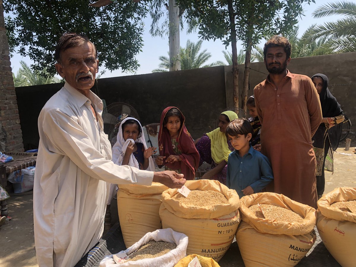 PKMT member in Khairpur says inspite of loosing his home & buffalo, he still managed to save his seeds - we salute our small farmers determination to fight for #FoodSovereignty #ClimateJustice & defeat imperialism responsible 4 our pauperisation #PakistanFlood #ClimateEmergency