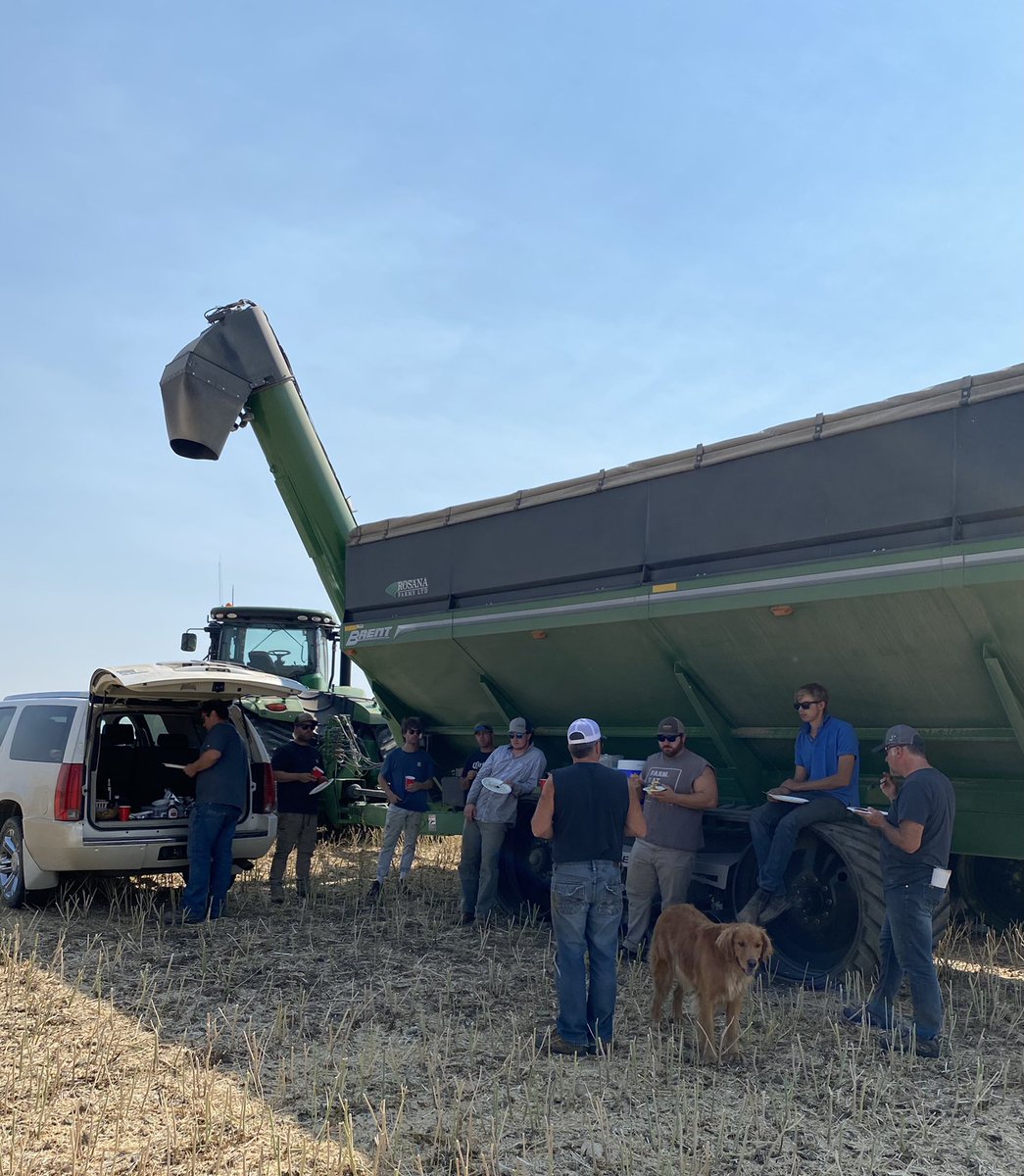 b_walde's tweet photo. Big shout out to all the #farmcooks out there that keep their #harvest22 crew fed and happy. I got my layoff notice tonight, it was a great run, looking forward to #harvest23 #mealinthefield #rosanafarms https://t.co/bZw5UgxbNr