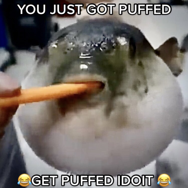 gameykatie's tweet photo. #getpuffed #youjustgotpuffed https://t.co/fFV2t9h8pX