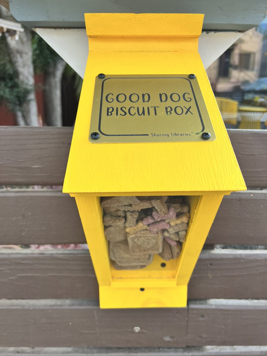 Carmen Kiew tweet media