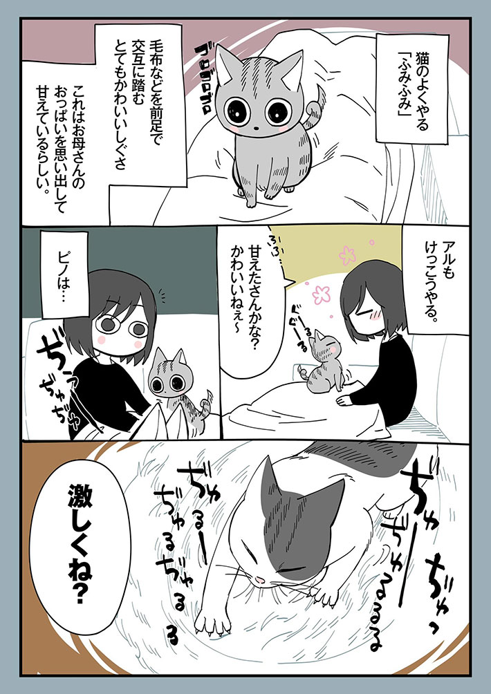 「泣いてしまった」「素敵な話」 『ふみふみ』をする猫たち 飼い主がある違いに気付いて? https://t.co/pA9LzwUy5M @grapeejpより
