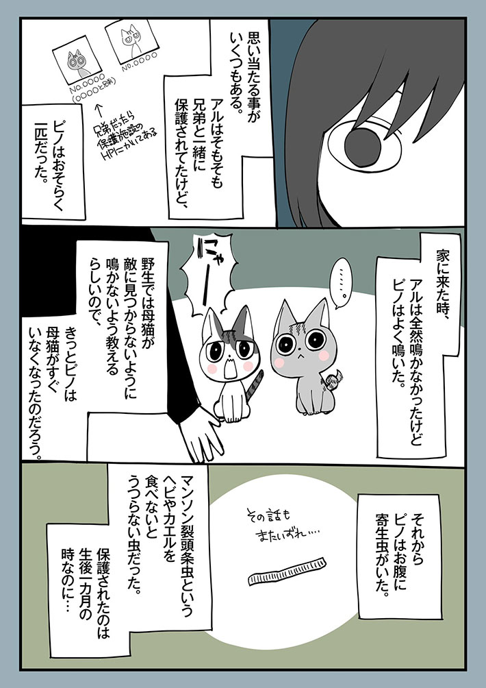 「泣いてしまった」「素敵な話」 『ふみふみ』をする猫たち 飼い主がある違いに気付いて? https://t.co/pA9LzwUy5M @grapeejpより