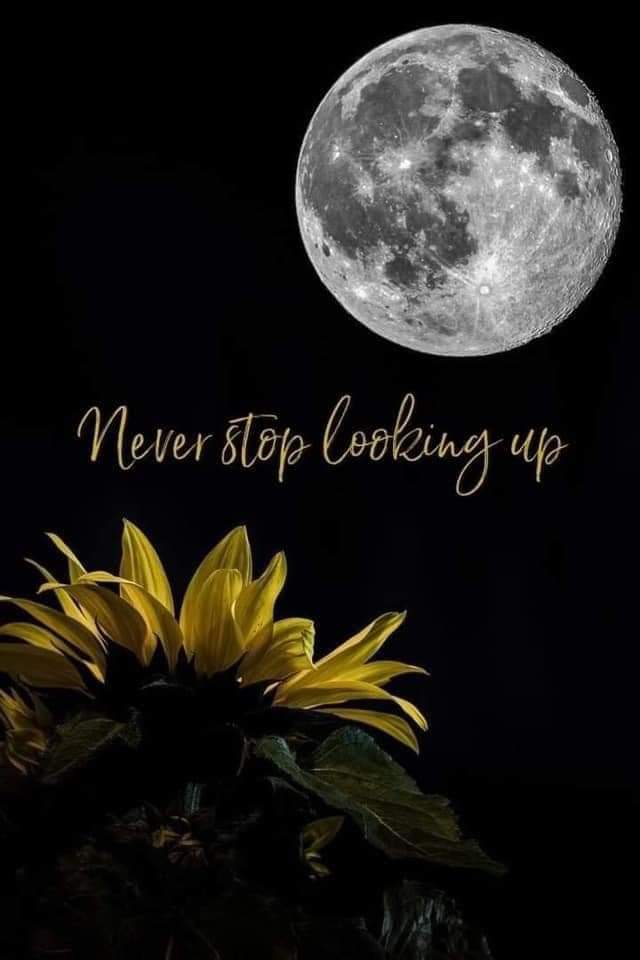 IngGuthrie's tweet photo. Beautiful advice and picture. ❤️
#UkraineStrong
#AllStrong https://t.co/6d2nP7mVID