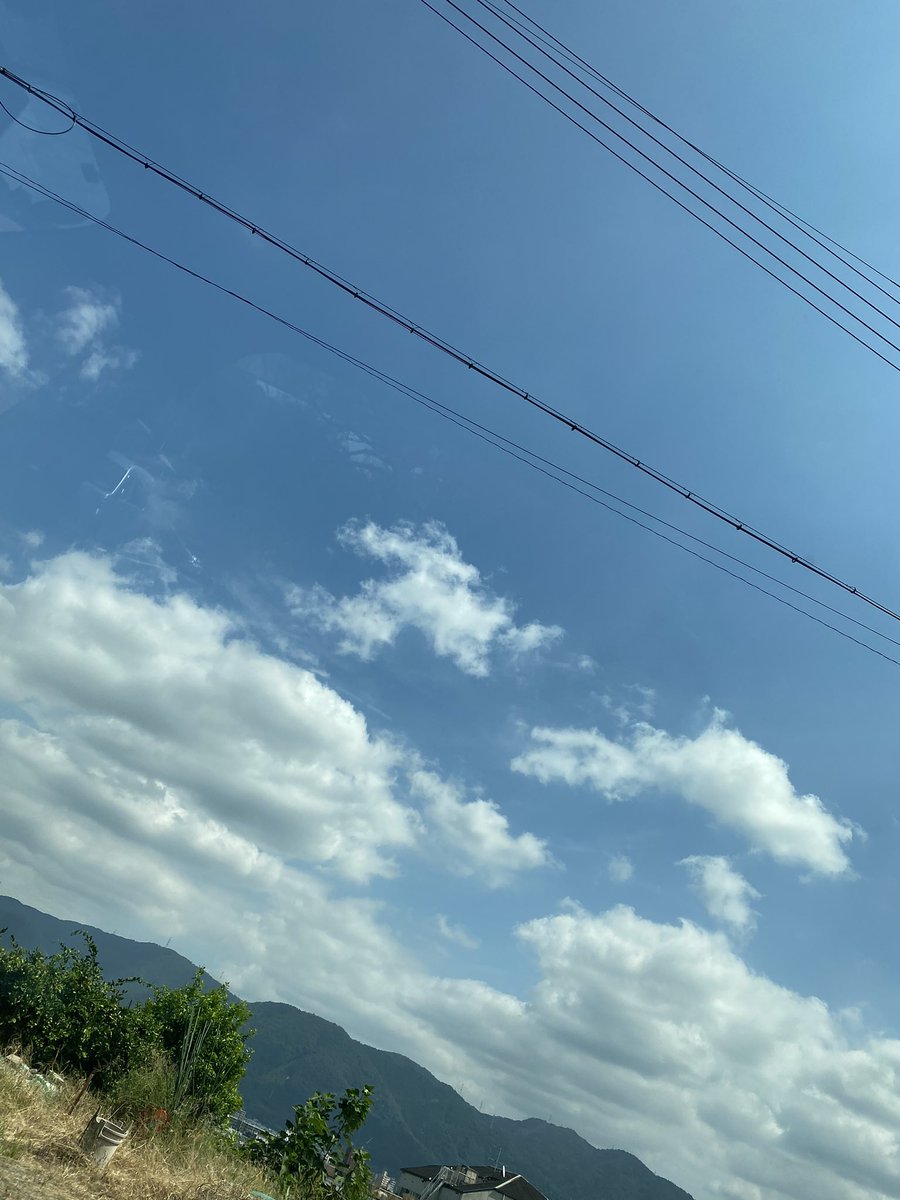 yoppy_yoshihiro's tweet photo. #今日も晴天
#今日も頑張ろ https://t.co/JdnYKpYr8y