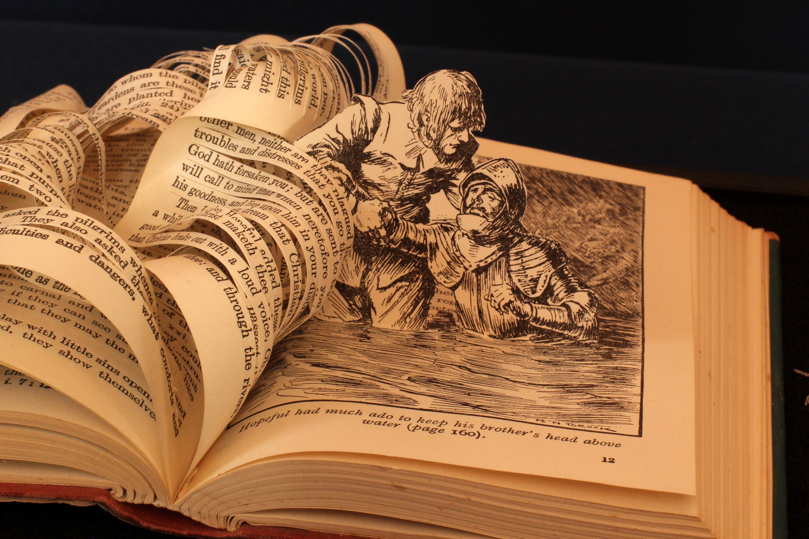 Книжный проект