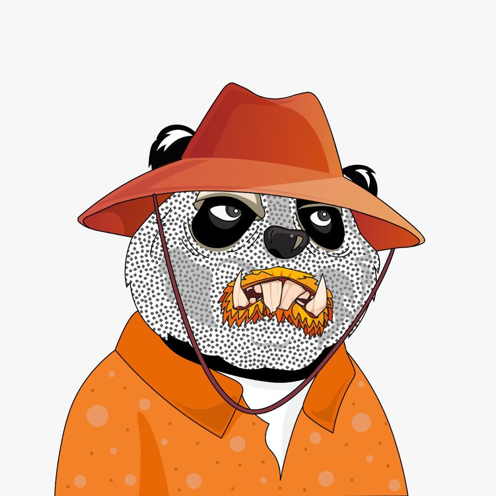 Panda Bike Club tweet media