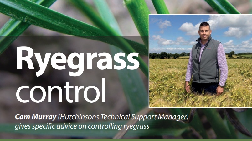 DKB Crop Protection tweet media