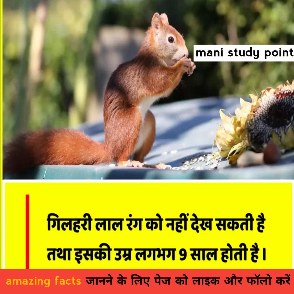 mani_studypoint's tweet image. 