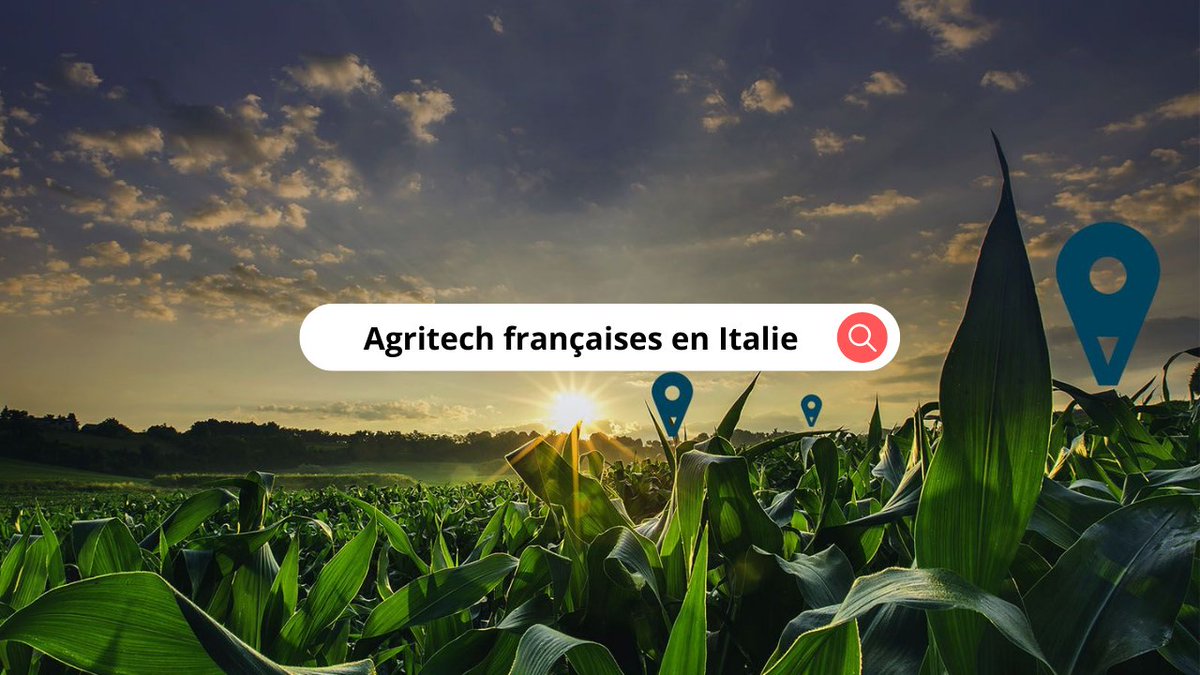 CCIF de Marseille tweet media