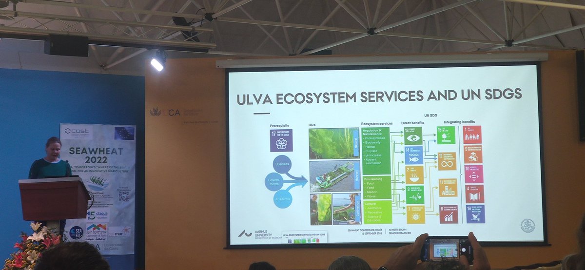SeaWheatCOST's tweet photo. Dr Annette Bruhn explain today the value of ecosystem services due to ulva species and some strategies that can be implemented for the valorization of the seaweed biomass.
#algae #ulva #ulvacostaction #ca20106 #seaweed #seawheat https://t.co/TrL7ZawU3c