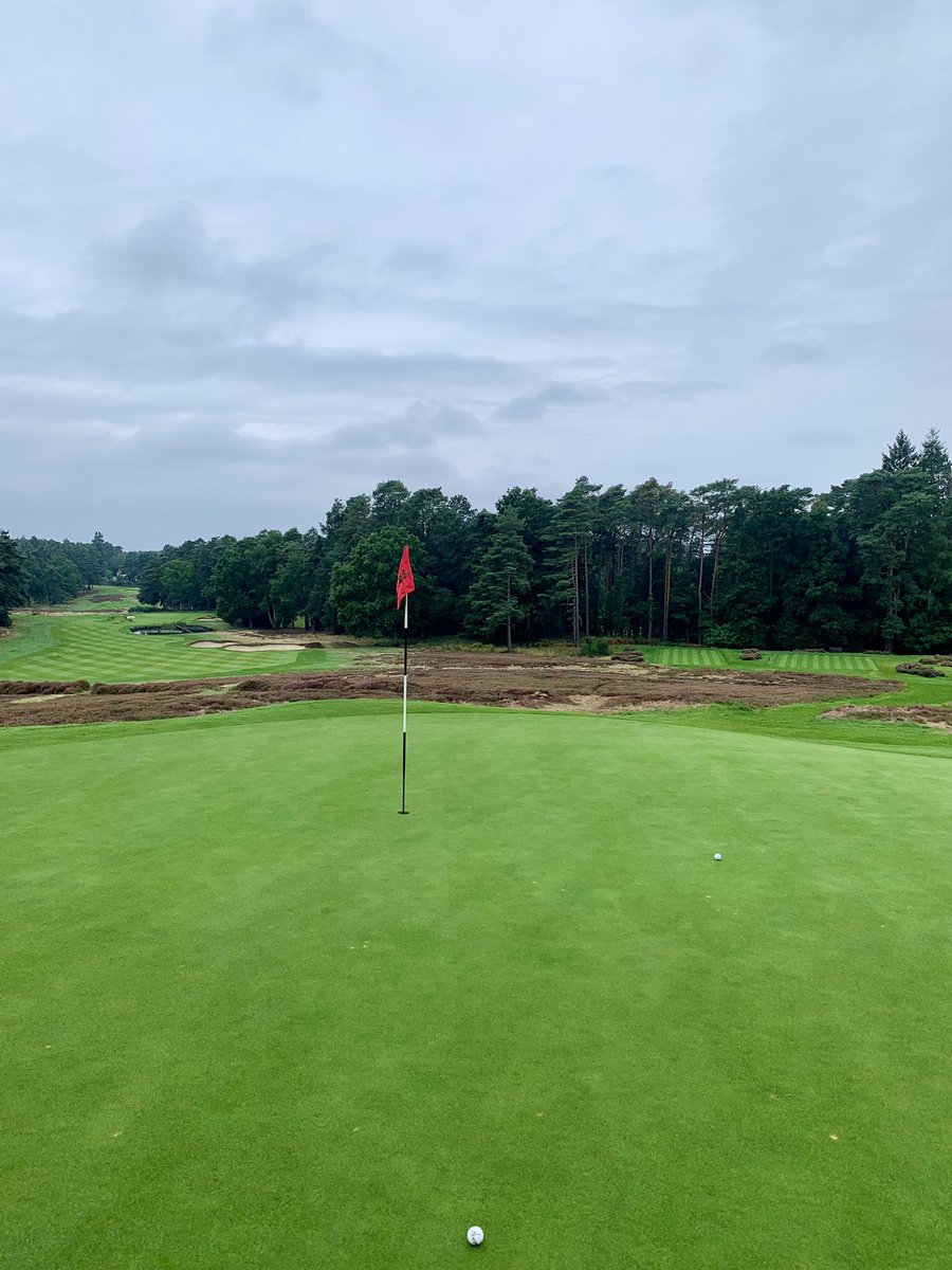 NationGolfing's tweet photo. I’m a sucker for a special spot on a golf course, a reflective point where you can take in your surroundings and breathe in the essence of the place. 

There are so many such points across the two courses at Sunningdale, but the par 3 4th green on the Old course wins out for me. https://t.co/Y50Dsfdn4u