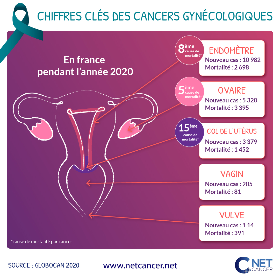 [#SeptembreTurquoise 💙] 
C'est le mois de mobilisation et de sensibilisation autour des #cancers #gynécologiques. NetCancer se mobilise en vous informant sur ces cancers tout au long du mois. 
Vous souhaitez en savoir plus ?
Retrouvez notre actualité : my.mtr.cool/ohuxqoavdd