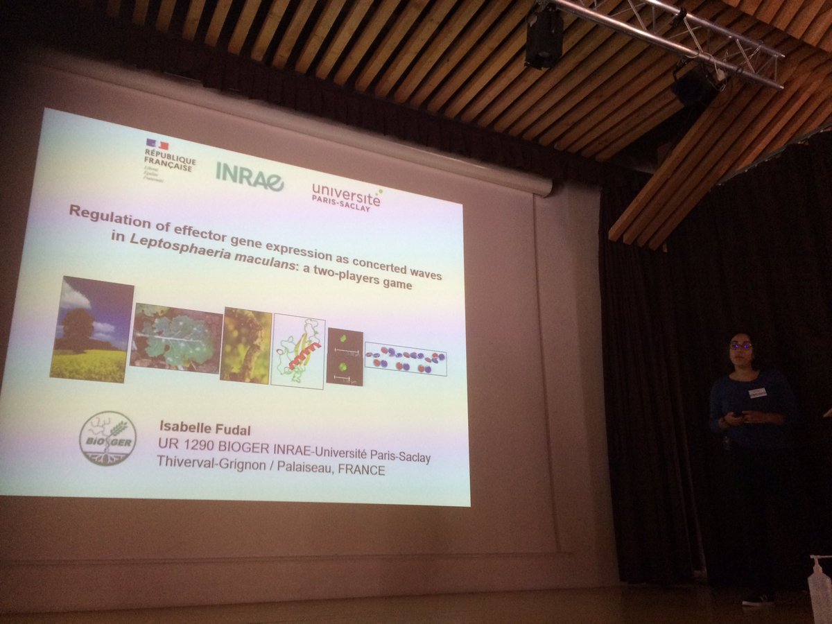 Société Française de Phytopathologie tweet media