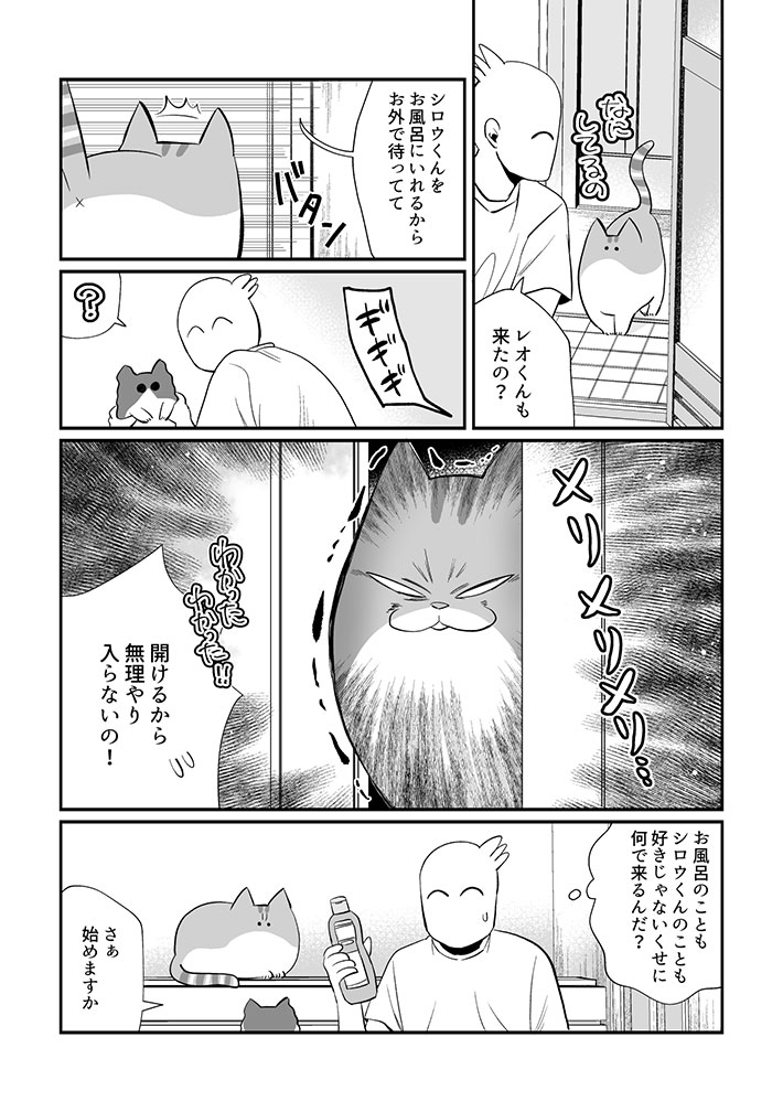 「なんじゃこりゃ～!?」 猫を洗おうとしたら『新しいタイプの地獄』が発生 https://t.co/gbv8luOMYw @grapeejpより 