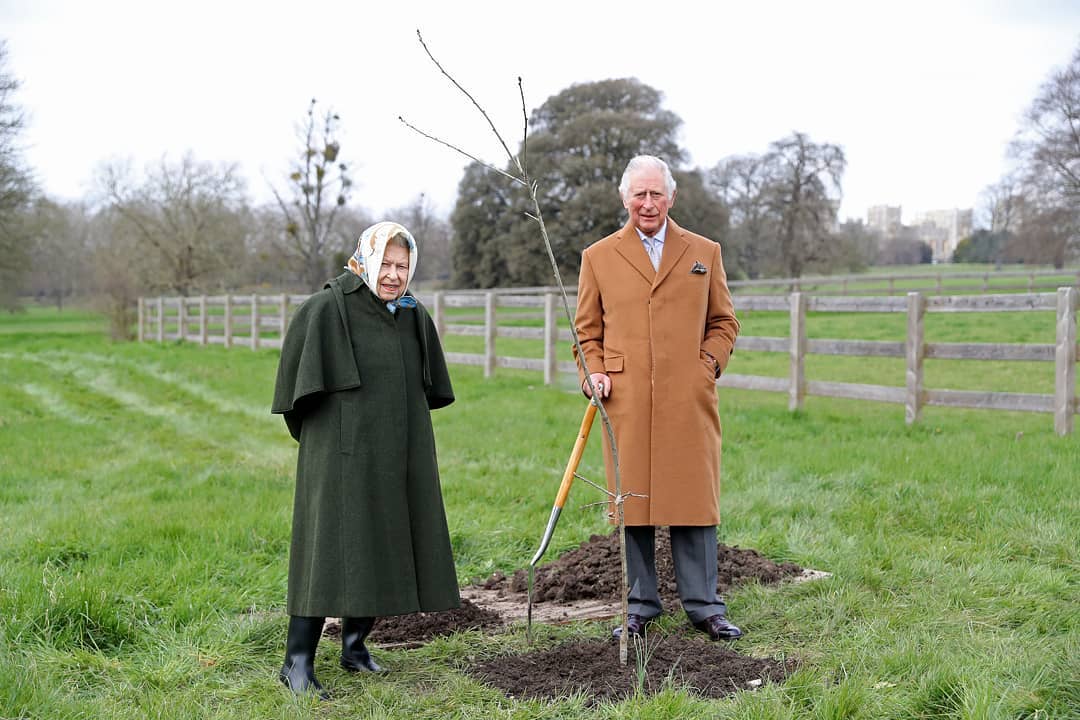 At the wishes of our Patron, His Majesty The King, the 
<a href="/QGCanopy/">The Queen's Green Canopy</a> will be extended to March 2023 to give people the opportunity to plant trees to honour Her Majesty.

People can also gift a tree to be planted in The Queen's name.

Read more: bit.ly/3U6alLb

<a href="/RoyalFamily/">The Royal Family</a>