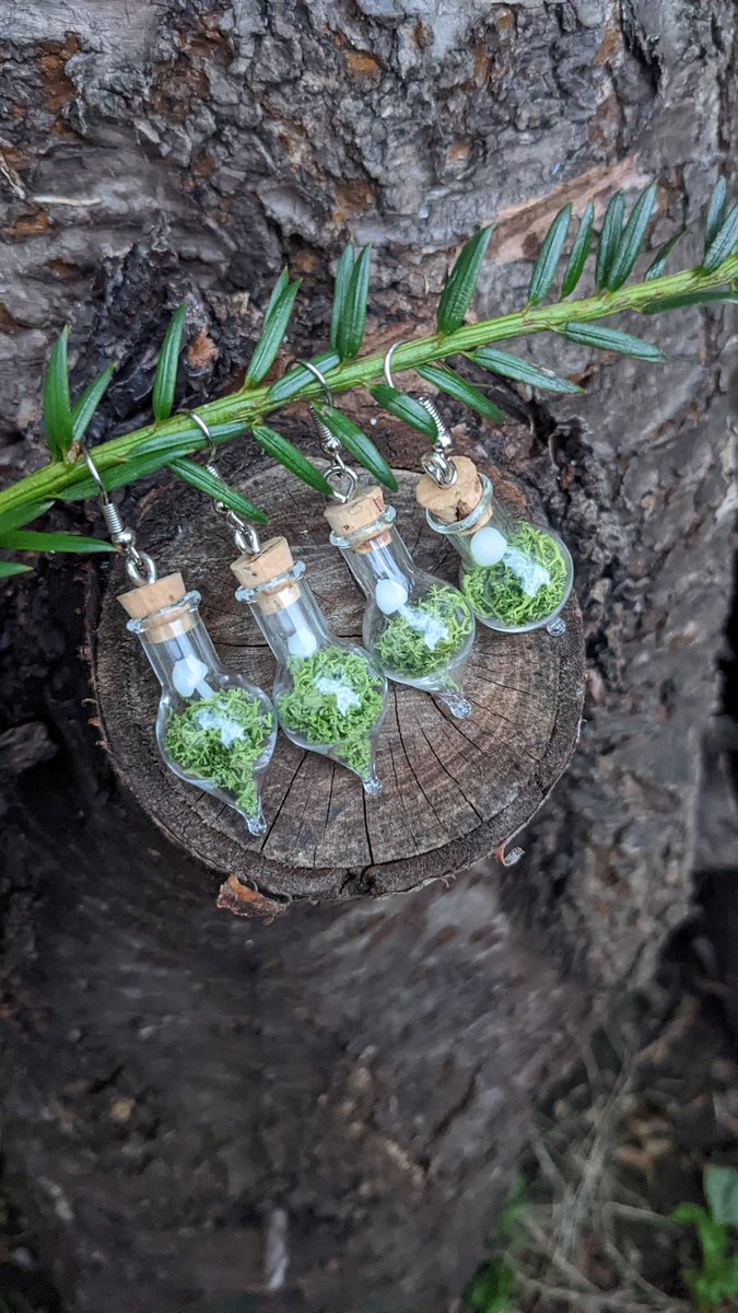 Mini mossy mushroom curio vial earrings ~ available on Etsy! 🌿 linktr.ee/feralforagings

#mossy #miniterrarium #mossymushroom #mushroomearrings #curiojewellery #goblincore #mushroomjewellery #handcrafted