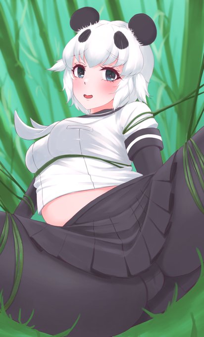 🐼ジャイアントパンダ🐼 