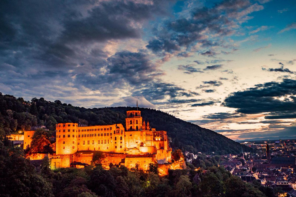 CityZapper tweet media