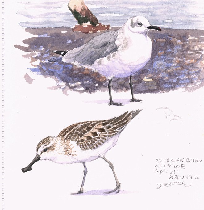 多摩川のtwitterイラスト検索結果