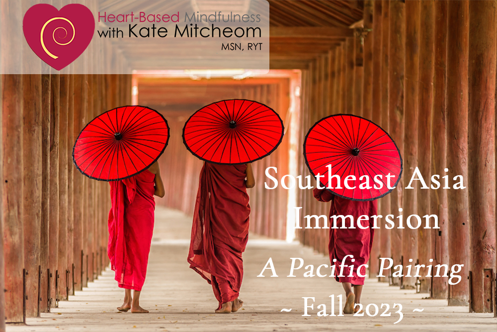 KateMitcheom's tweet photo. Sneak Peek: Why both? Why now? - https://t.co/5myFXFTshn https://t.co/fdh0YGXSmK