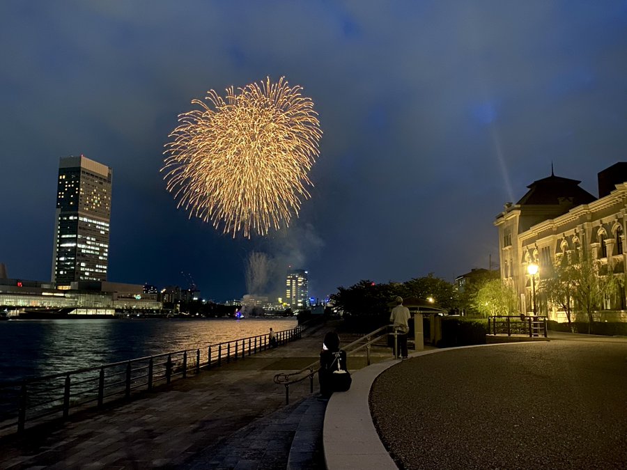 ディズニーランド花火外から見える場所穴場どこ 何時から打ち上げか調査 3216blog