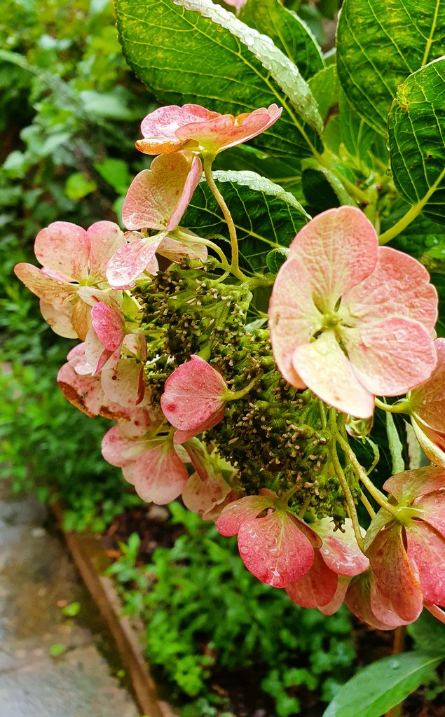 Guten Morgen, Donnerstag.