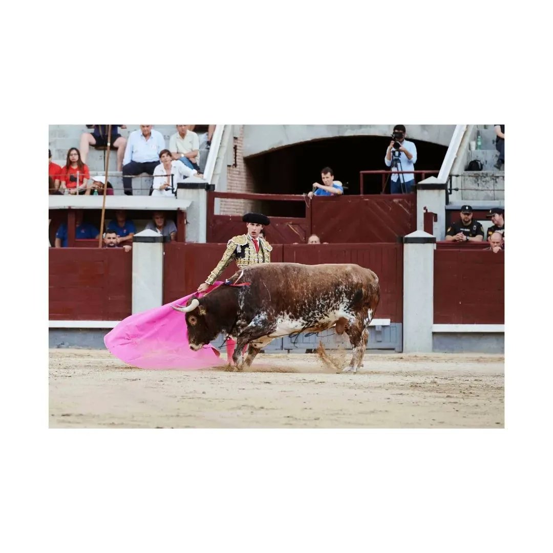 Jesús García en Las Ventas

<a href="/JGarcia17_/">Jesús García</a>

📷 <a href="/AnaLaidaa/">Ana Laida</a>