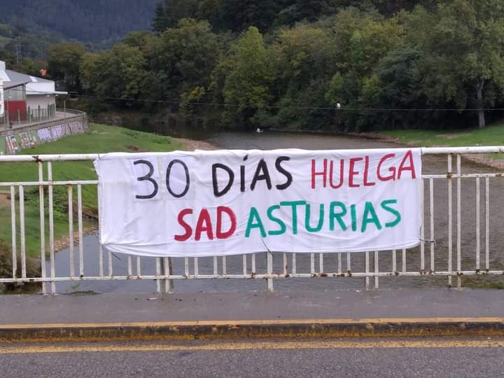 No voy a comentar nada referente a lo de ayer.
No doy bola para ver quien la tiene más grande .
Mi lucha es por un convenio justo y digno no me voy a desviar del camino .
29 días Huelga
📣📣
‼️🆘️‼️
#Huelgaindefinida
#SAD
#CentrosDeDía 
#Asturias 
#conveniodignosad
#SadEnLucha