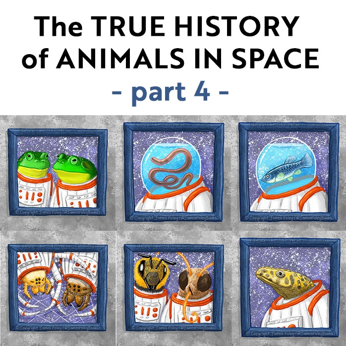 Jamesfoleybooks's tweet photo. My latest book Stellarphant includes a timeline of the True History of Animals in Space ⭐🐘🚀

I've written some in-depth articles to explain the extraordinary stories of these animals. 

Part 4 is available now: https://t.co/xrEOtTbXkE

@FremantlePress @TheCBCA #Stellarphant https://t.co/kPYfjqmPSz
