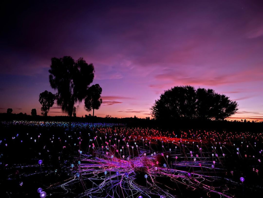 It's like the sky is painted to reflect the colours of the Field of Light.