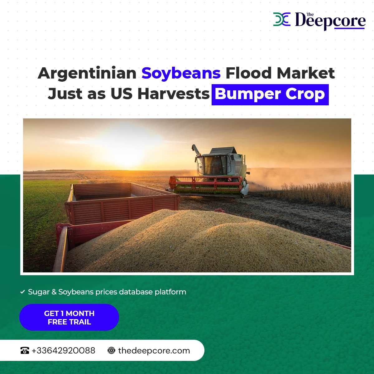 TheDeepcore's tweet image. Farmers in #Argentina are rushing to sell stockpiled soybeans to the global market just as the US is preparing for a bumper harvest, potentially weighing on prices: rb.gy/30sykq

thedeepcore.com

#thedeepcore