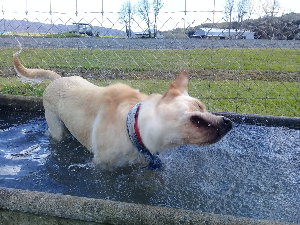 Butters_diary's tweet photo. When you have the park to yourself~ https://t.co/sqXuvpUyni