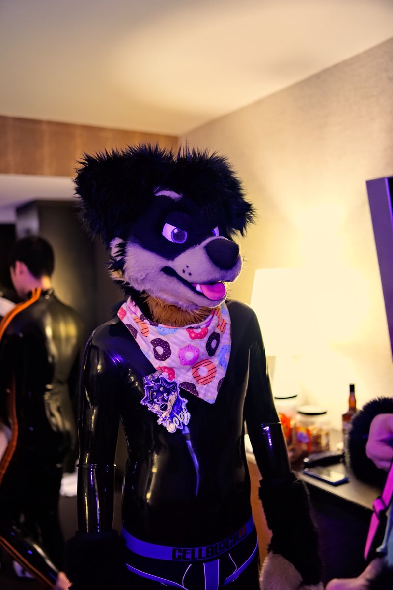 CobyDoggo's tweet image. I like shinies! 😝

📸@CarouseHoss